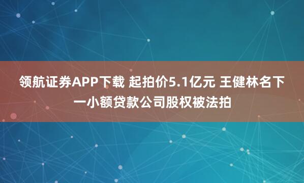领航证券APP下载 起拍价5.1亿元 王健林名下一小额贷款公司股权被法拍